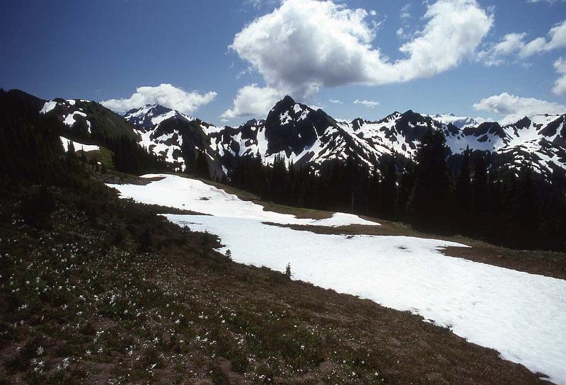 Bailey Trav 006 Aug-1989 to Appleton Pass.jpg